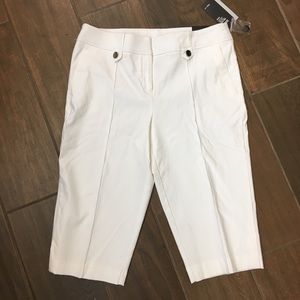 🆕 Style & Co Skimmer Shorts